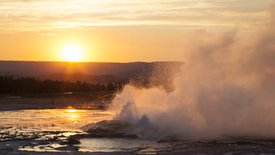 Geyser At Lower Geyser Basin In Yellowstone National Park Erupts At Sunset